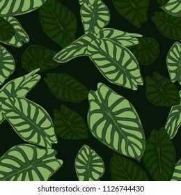 Seamless Tropical Pattern. Trendy Background with Rain Forest Plants. Vector Leaf of Alocasia. Araceae. Handwritten Jungle Foliage in Watercolor Style. Seamless Exotic Pattern for Textile, Fabric.