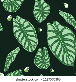 Seamless Tropical Pattern. Trendy Background with Rain Forest Plants. Vector Leaf of Alocasia. Araceae. Handwritten Jungle Foliage in Watercolor Style. Seamless Exotic Pattern for Textile, Fabric.