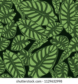 Seamless Tropical Pattern. Trendy Background with Rain Forest Plants. Vector Leaf of Alocasia. Araceae. Handwritten Jungle Foliage in Watercolor Style. Seamless Exotic Pattern for Textile, Fabric.
