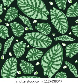 Seamless Tropical Pattern. Trendy Background with Rain Forest Plants. Vector Leaf of Alocasia. Araceae. Handwritten Jungle Foliage in Watercolor Style. Seamless Exotic Pattern for Textile, Fabric.