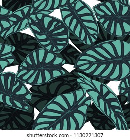 Seamless Tropical Pattern. Trendy Background with Rain Forest Plants. Vector Leaf of Alocasia. Araceae. Handwritten Jungle Foliage in Watercolor Style. Seamless Exotic Pattern for Textile, Fabric.