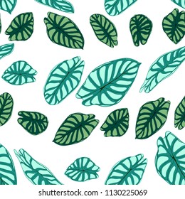 Seamless Tropical Pattern. Trendy Background with Rain Forest Plants. Vector Leaf of Alocasia. Araceae. Handwritten Jungle Foliage in Watercolor Style. Seamless Exotic Pattern for Textile, Fabric.