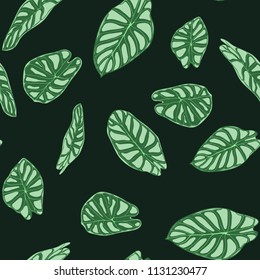 Seamless Tropical Pattern. Trendy Background with Rain Forest Plants. Vector Leaf of Alocasia. Araceae. Handwritten Jungle Foliage in Watercolor Style. Seamless Exotic Pattern for Textile, Fabric.