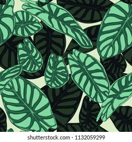 Seamless Tropical Pattern. Trendy Background with Rain Forest Plants. Vector Leaf of Alocasia. Green Araceae. Handwritten Jungle Foliage in Watercolor Style. Seamless Exotic Pattern for Tile, Fabric.