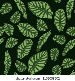 Seamless Tropical Pattern. Trendy Background with Rain Forest Plants. Vector Leaf of Alocasia. Araceae. Handwritten Jungle Foliage in Watercolor Style. Seamless Exotic Pattern for Textile, Fabric.