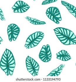 Seamless Tropical Pattern. Trendy Background with Rain Forest Plants. Vector Leaf of Alocasia. Araceae. Handwritten Jungle Foliage in Watercolor Style. Seamless Exotic Pattern for Textile, Fabric.