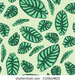 Seamless Tropical Pattern. Trendy Background with Rain Forest Plants. Vector Leaf of Alocasia. Green Araceae. Handwritten Jungle Foliage in Watercolor Style. Seamless Exotic Pattern for Tile, Fabric.