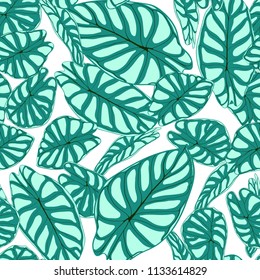 Seamless Tropical Pattern. Trendy Background with Rain Forest Plants. Vector Leaf of Alocasia. Araceae. Handwritten Jungle Foliage in Watercolor Style. Seamless Exotic Pattern for Textile, Fabric.