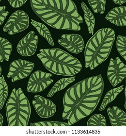 Seamless Tropical Pattern. Trendy Background with Rain Forest Plants. Vector Leaf of Alocasia. Araceae. Handwritten Jungle Foliage in Watercolor Style. Seamless Exotic Pattern for Textile, Fabric.