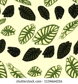 Seamless Tropical Pattern. Trendy Background with Rain Forest Plants. Vector Leaf of Alocasia. Araceae. Handwritten Jungle Foliage in Watercolor Style. Seamless Exotic Pattern for Textile, Fabric.