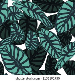Seamless Tropical Pattern. Trendy Background with Rain Forest Plants. Vector Leaf of Alocasia. Araceae. Handwritten Jungle Foliage in Watercolor Style. Seamless Exotic Pattern for Textile, Fabric.