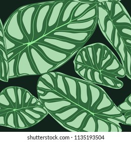 Seamless Tropical Pattern. Trendy Background with Rain Forest Plants. Vector Leaf of Alocasia. Araceae. Handwritten Jungle Foliage in Watercolor Style. Seamless Exotic Pattern for Textile, Fabric.