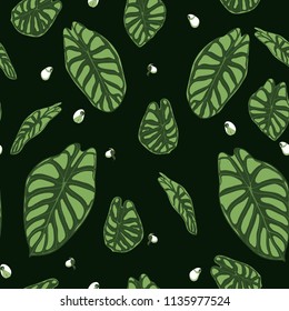 Seamless Tropical Pattern. Trendy Background with Rain Forest Plants. Vector Leaf of Alocasia. Araceae. Handwritten Jungle Foliage in Watercolor Style. Seamless Exotic Pattern for Textile, Fabric.