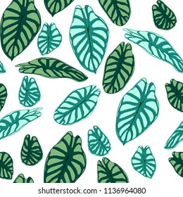 Seamless Tropical Pattern. Trendy Background with Rain Forest Plants. Vector Leaf of Alocasia. Araceae. Handwritten Jungle Foliage in Watercolor Style. Seamless Exotic Pattern for Textile, Fabric.