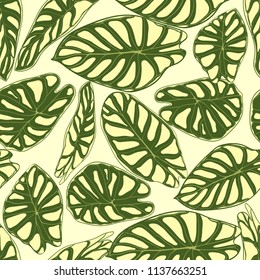 Seamless Tropical Pattern. Trendy Background with Rain Forest Plants. Vector Leaf of Alocasia. Araceae. Handwritten Jungle Foliage in Watercolor Style. Seamless Exotic Pattern for Textile, Fabric.