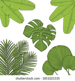 Seamless Tropical Plant Leaves Pattern Vector