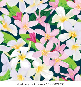 Seamless tropical plumeria flowers and leaves background. Vector set of exotic tropical floral for wedding invitations and greeting card design.