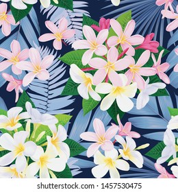Seamless tropical plumeria flowers and palm leaves background. Vector set of blooming floral for holiday invitations, greeting card and fashion design.