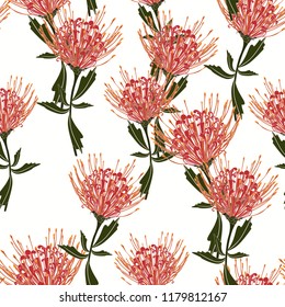 Seamless tropical protea flowers pattern with green leaves on white background.  Exotic print. Vintage motives.