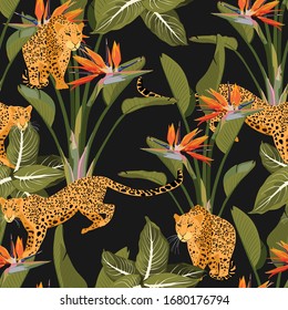 Seamless tropical safari pattern background with leopard, palms, strelitzia flowers isolated on black background. Perfect for wallpapers, web page backgrounds, surface textures.