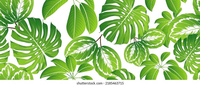 Seamless tropical summer pattern with exotic green leaves calathea and monstera.