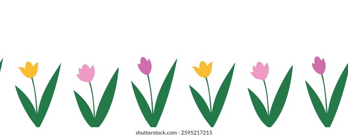 Seamless tulip border. Floral spring border. Vector decoration for greeting cards, backgrounds, textiles.
