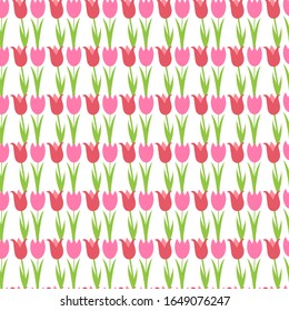 Seamless tulips pattern isolated on white background. Pretty wallpaper. Cute design. Mathers day. 8 of March. Flowers in flat style. Floral endless picture. Rose colors. Pack paper. Spring. Easter.