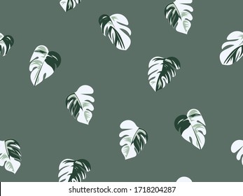 Seamless variegated monstera leaves repeat pattern on green background vector. 