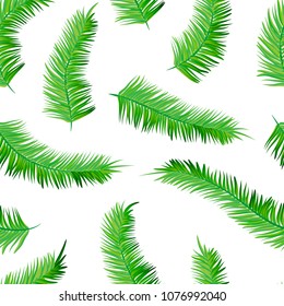 Seamless vecor palm tree leaves pattern with white background. Vector illustration for your graphic design.