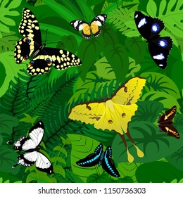 Seamless vector african tropical rainforest jungle background with butterflies