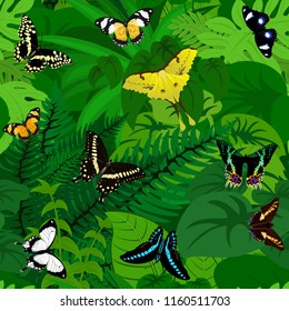 Seamless vector african tropical rainforest jungle background with butterflies