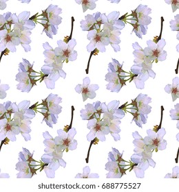 Seamless Vector Apple Flowers Pattern