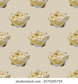 Patrón de rosas blancas artísticas de Vector sin costuras