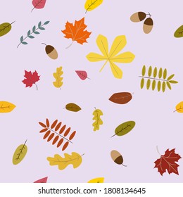 El vector sin foco del otoño deja el fondo. Patrón de alcornoques, robles, arce y otras hojas. Las hojas coloreadas se imprimen. Fondo de otoño, Día de Acción de Gracias, Impresión estacional, noviembre