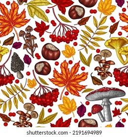 Seamless vector autumn pattern. Maple leaf, chestnut, mountain ash, chanterelles, white mushroom, fly agaric, fallen leaves, berries