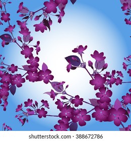 Seamless vector background - branch of blossoming cherry.