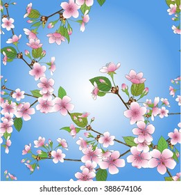 Seamless vector background - branch of blossoming cherry.