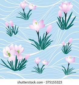 Seamless vector background. Crocuses - flowers and buds.