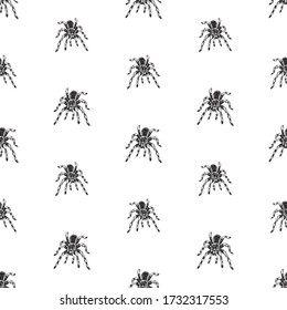 Seamless vector background of drawn poisonous spiders
