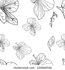 Seamless vector background. Flower arrangement of meadow flowers. Pattern of vector flowers. Flowers for creating cards, seamless backgrounds and wallpapers. EPS 10 vector.