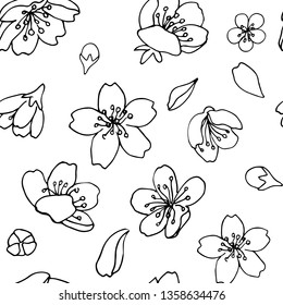 Seamless vector background. Flowers and petals of cherry. Black outline on transparent background.