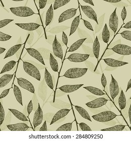 Seamless vector background with hand drawn leaves, eucalyptus pattern