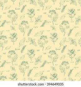 Seamless vector background with herbs and spices on yellow . Hand drawn spices in vintage style. For prints, fabric and wrapping and other design in natural style.