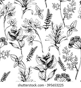Seamless vector background with herbs and spices on white . Hand drawn spices in vintage style. For prints, fabric and wrapping and other design in natural style.