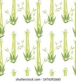 Seamless vector Bamboo card background template. Bamboos or bambusa plant backdrop.  Bambos yellow leaves and stalk. Decorative flat vector  Illustration.