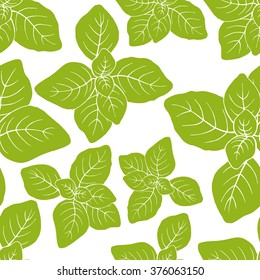 Seamless vector basil pattern on white background