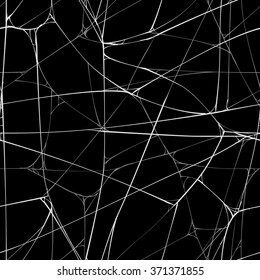 Seamless vector black background with web of spider.