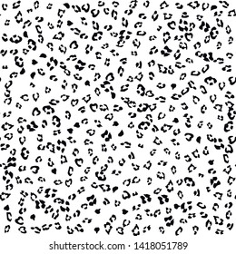 Seamless vector black and white leopard fur pattern. Stylish fashionable wild leopard print. Animal print background for fabric, textile, design, advertising banner.