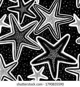 Patrón vectorial de color blanco y negro impecable con estrellas del mar dibujadas.