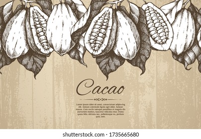 Seamless vector border hand drawn cacao pods illustration on texture background. Elegant template design in vintage style